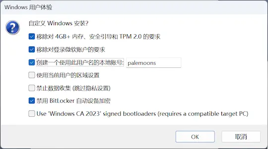 自定义 Windows 安装