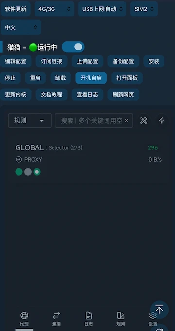 自动进入zashboard面板